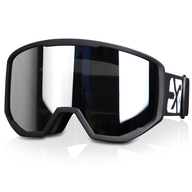Ski Goggles